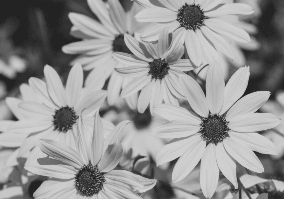 Untitled design (25) how to step into the power of authenticity